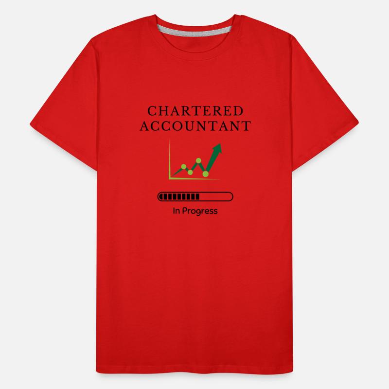 Chartered Accountant in Progress