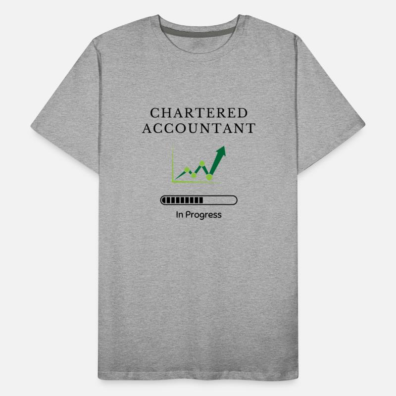 Chartered Accountant in Progress