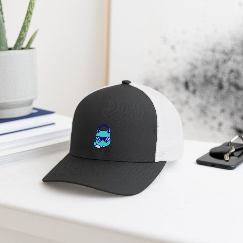 Cute Cool DJ Cat Pet Kitten Sunglasses Music Party