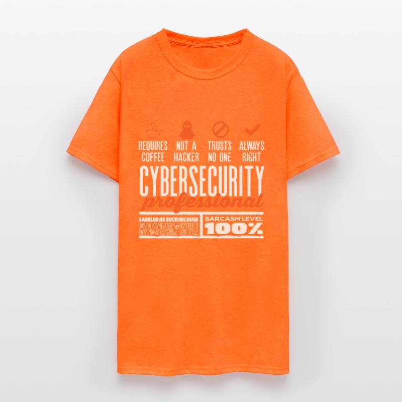 Cybersecurity Exprert