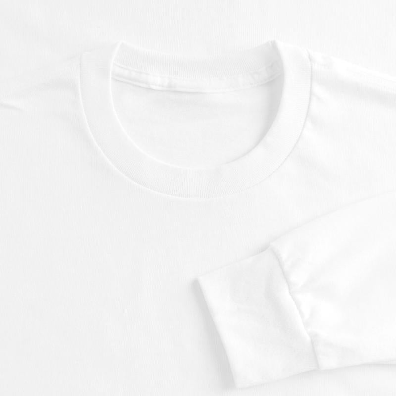 Elegant Flying Stork